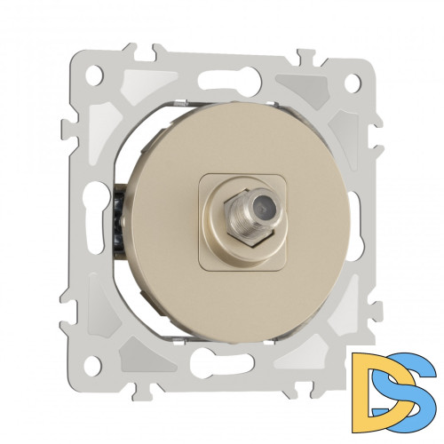 Розетка спутниковая SAT TV Arte Milano 202.42-1.shampan