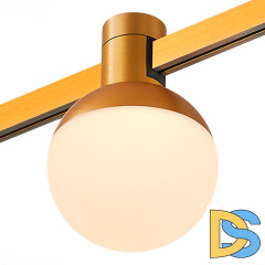 Трековый магнитный светильник ST Luce Farm ST815.206.05