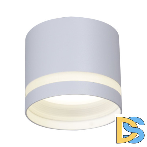 Накладной светильник Reluce 53001-9.5-001LD GX53 WT