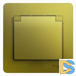 Розетка 1-ая электрическая, с заземлением и крышкой, защитными шторками, Фисташковый, серия Glossa, Schneider Electric