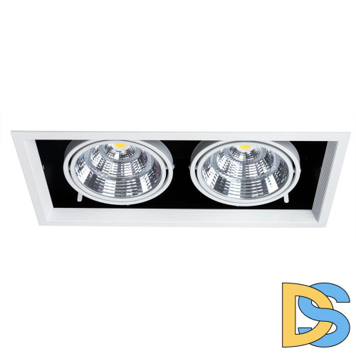 Встраиваемый светильник Arte Lamp Merga A8450PL-2WH