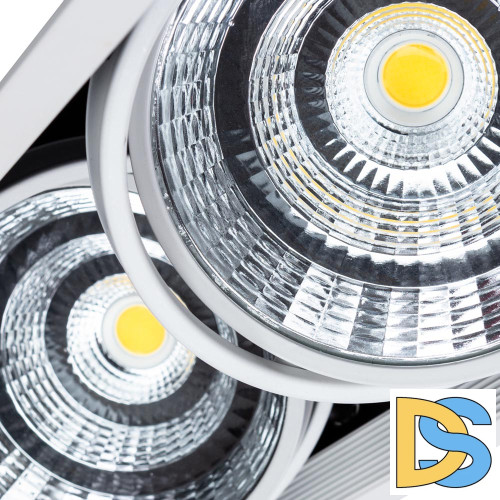 Встраиваемый светильник Arte Lamp Merga A8450PL-2WH