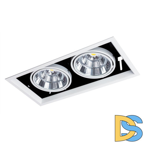 Встраиваемый светильник Arte Lamp Merga A8450PL-2WH