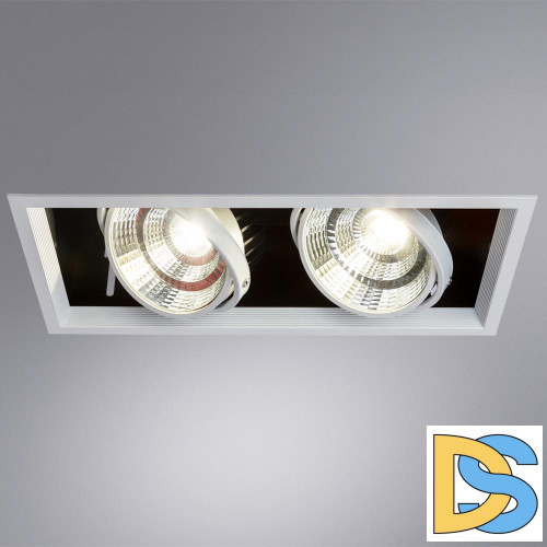 Встраиваемый светильник Arte Lamp Merga A8450PL-2WH