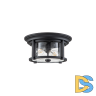 Уличный потолочный светильник Feiss Merrill FE-MERRILL-F-BLK
