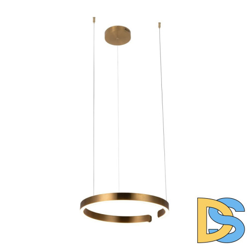 Подвесной светодиодный светильник Loft IT Ring 10013M