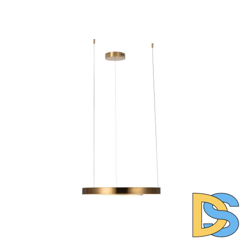 Подвесной светодиодный светильник Loft IT Ring 10013M