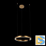 Подвесной светодиодный светильник Loft IT Ring 10013M