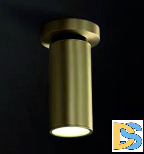 Спот iLamp Plum 8861C BR-BK