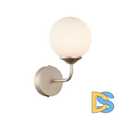 Настенный светильник ST LUCE REDJINO SLE106201-01