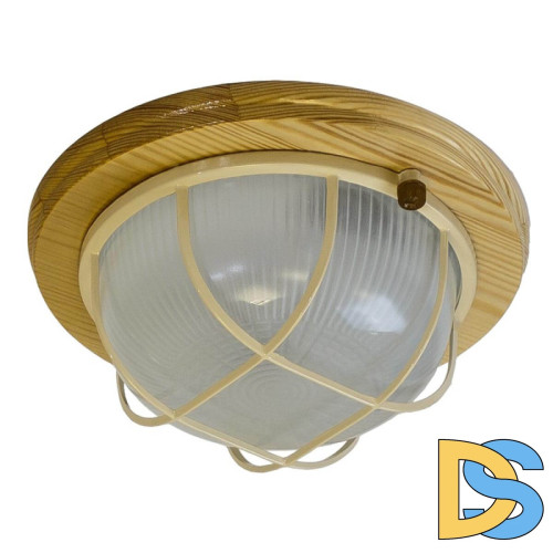 Настенно-потолочный светильник ЭРА НБО 03-60-012 Б0048415