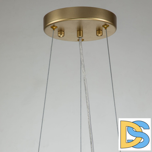 Подвесная люстра Favourite Rays 4058-8P