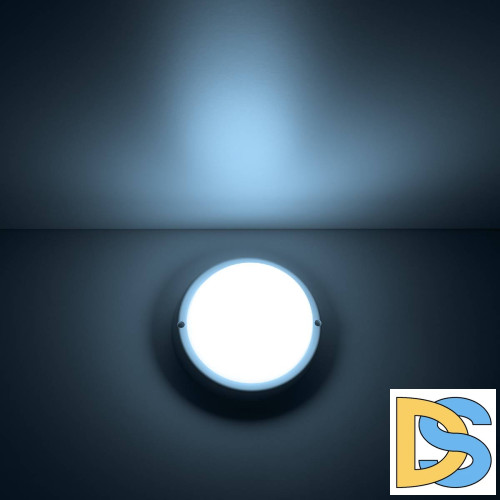 Потолочный светодиодный светильник Gauss Сауна 126411308