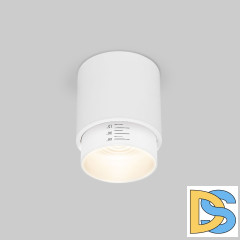 Накладной светильник Elektrostandard Cors 4690389192173 a062385