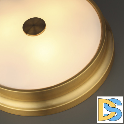 Потолочный светильник Odeon Light 4824/3C