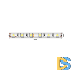 Светодиодная лента SWG Standard 24В 5050 14,4Вт/м 6000-6500K 5м IP65 SWG560-24-14.4-W-68-M 021280
