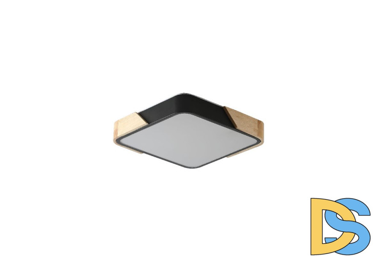 Потолочный светильник Zortes Alberro ZRS.01281.60