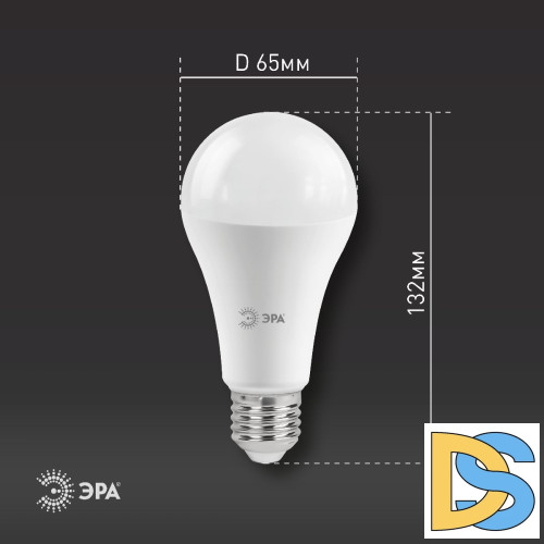 Лампа светодиодная Эра E27 25W 2700K LED A65-25W-827-E27 R Б0048009