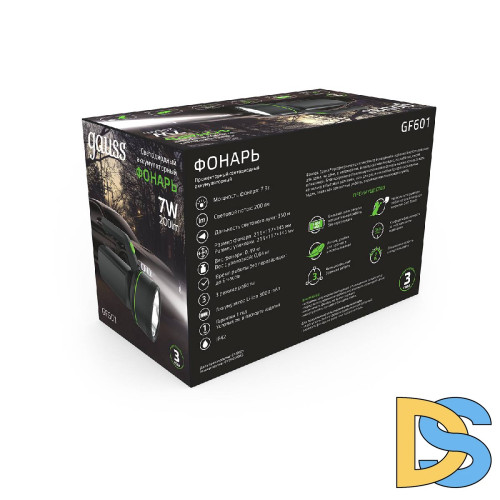 Прожекторный светодиодный фонарь Gauss аккумуляторный 215х145 200 лм GF601