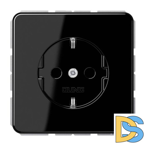 Hозетка SCHUKO Jung CD500 CD1520BFKISW