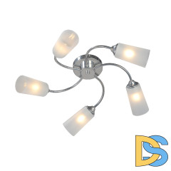 Потолочная люстра Vitaluce V2831-9/5PL