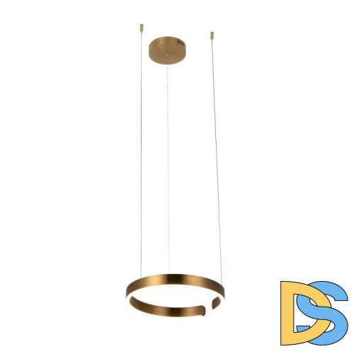 Подвесной светодиодный светильник Loft IT Ring 10013S