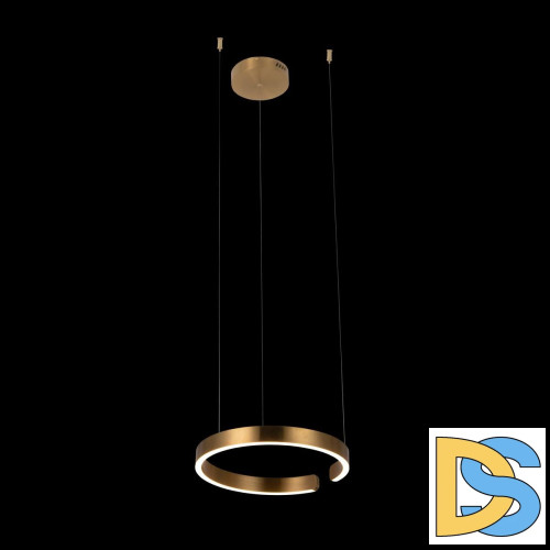 Подвесной светодиодный светильник Loft IT Ring 10013S