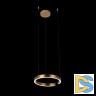 Подвесной светодиодный светильник Loft IT Ring 10013S