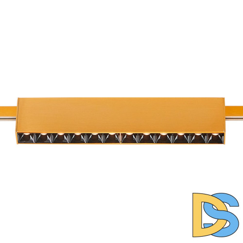 Трековый магнитный светильник ST Luce Farm ST816.206.12