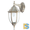 Уличный настенный светильник Arte Lamp Pegasus A3152AL-1WG