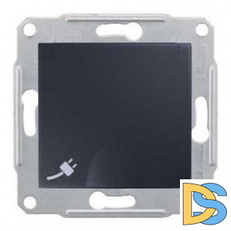 Розетка 1-ая электрическая, с заземлением, крышкой IР44, влагозащищенная, Графит, серия Sedna, Schneider Electric