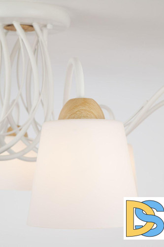 Потолочная люстра Eurosvet Betty 70062/8 белый