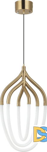 Подвесной светильник Zortes Argo ZRS.57785.03