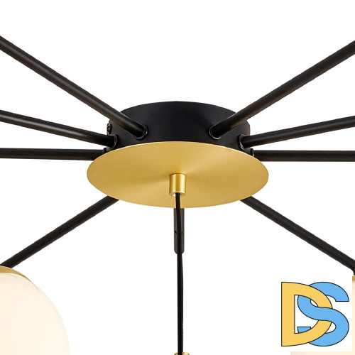 Потолочная люстра Favourite Paramount 3047-10P