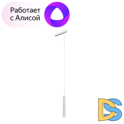 Трековый светильник Denkirs Smart DK8008-WH