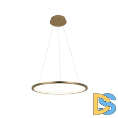 Подвесной светодиодный светильник Loft IT Ring 10014M