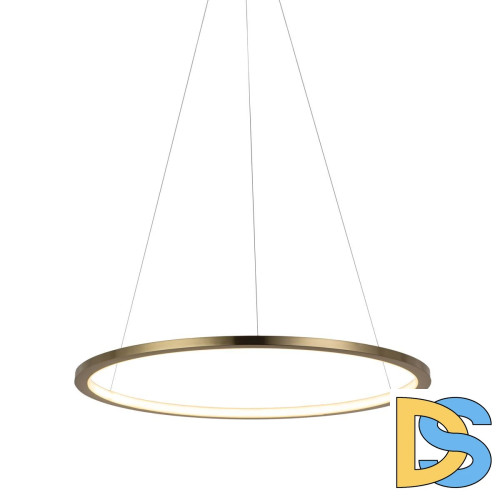 Подвесной светодиодный светильник Loft IT Ring 10014M