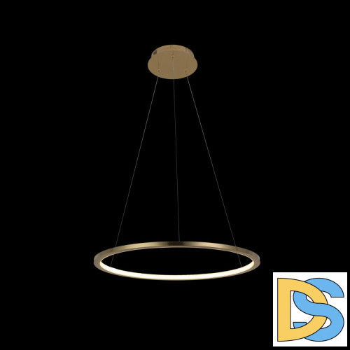 Подвесной светодиодный светильник Loft IT Ring 10014M