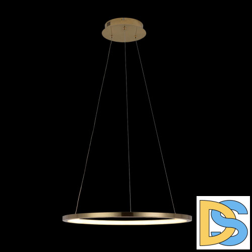 Подвесной светодиодный светильник Loft IT Ring 10014M