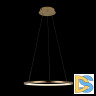 Подвесной светодиодный светильник Loft IT Ring 10014M