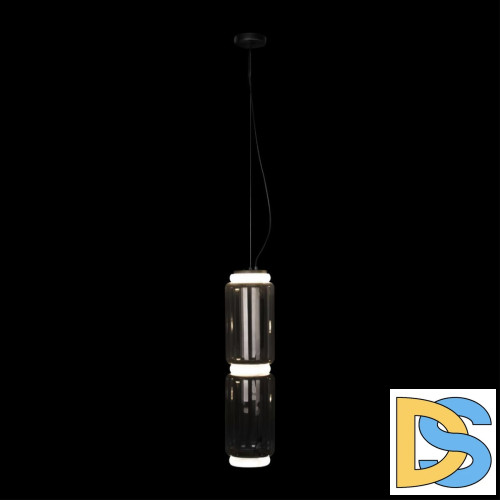 Подвесной светильник Loft IT Noctambule 10194/M