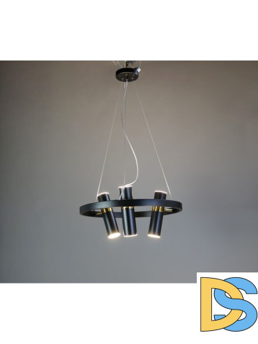 Подвесная люстра Zortes Tweeny ZRS.1828.50