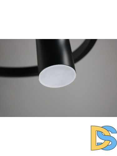 Подвесная люстра Zortes Tweeny ZRS.1828.50