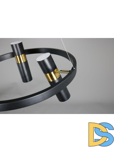 Подвесная люстра Zortes Tweeny ZRS.1828.50