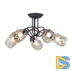 Потолочная люстра Vitaluce V4926-1/5PL