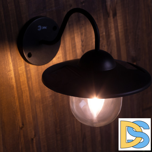 Уличный светильник Эра ERASF22-38 Б0053388