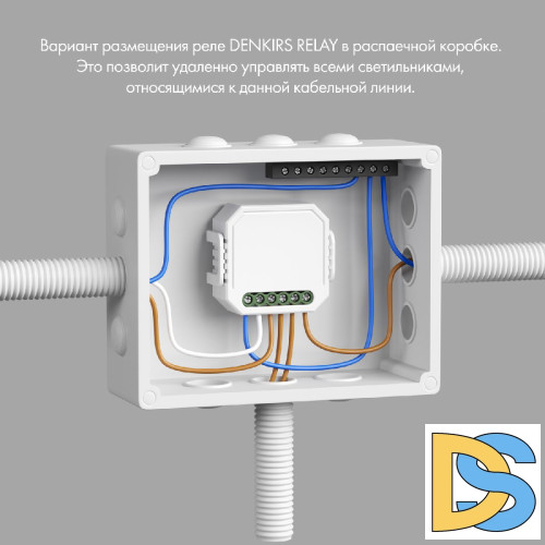 Двухканальное Wi-Fi реле-диммер Denkirs Relay RL1004-DM/1