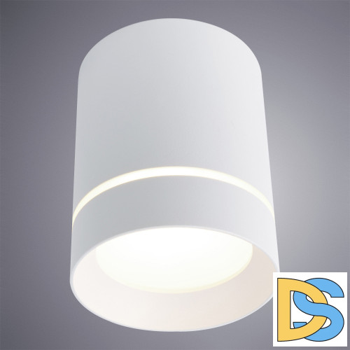 Накладной светильник Arte Lamp Elle A1949PL-1WH