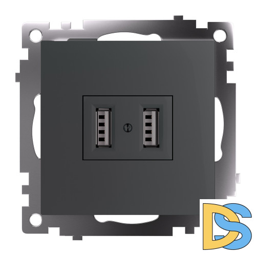 Розетка USB Stekker Катрин GLS10-7115-06 49422