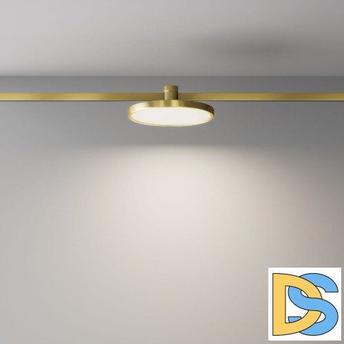 Трековый магнитный светильник Maytoni Plato TR153-1-10W4K-BS